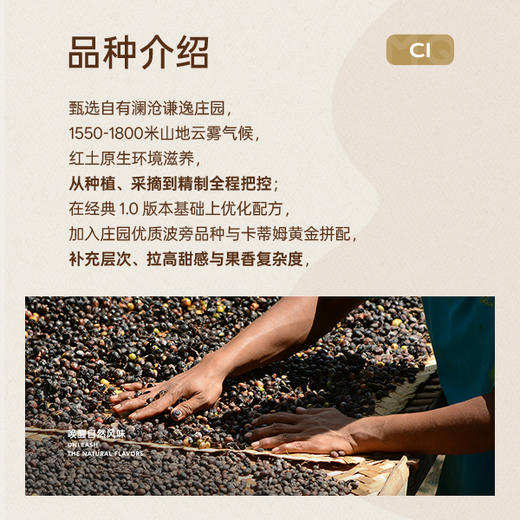 【云南精品系列】明谦醉红珠咖啡豆澜沧意式拿铁咖啡美式黑咖啡 商品图4