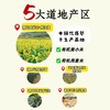 五指毛桃茯苓炒米茶  焦香炒米茶中焦运化 拂去湿腻虚胖 道地食材有机黄小米茯苓陈皮浙麦冬 商品缩略图2
