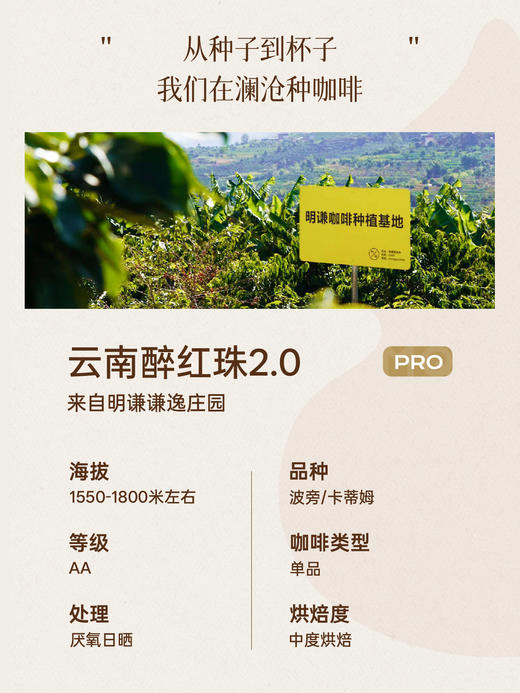 【云南精品系列】明谦醉红珠咖啡豆澜沧意式拿铁咖啡美式黑咖啡 商品图3