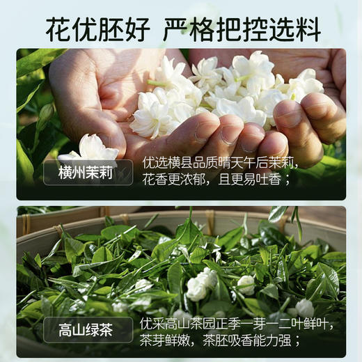 【99元4罐】华祥庄园-80g优选茉莉花茶散茶罐装（ECA） 商品图6