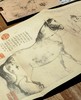 《李公麟 五马图 临韦偃牧放图》，16开，册页装，李公麟绘，四川美术出版社2017年一版一印，定价88，售价30元。 商品缩略图5