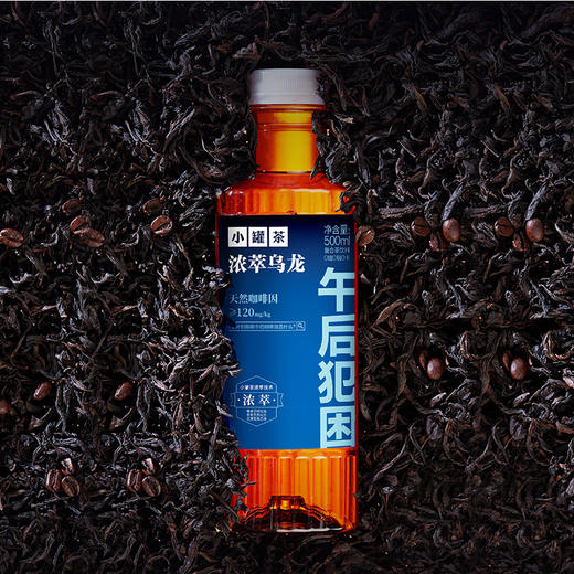 小罐茶 浓萃无糖原味茶饮料 普洱/绿茶/乌龙/白茶 500ml*9瓶 商品图6