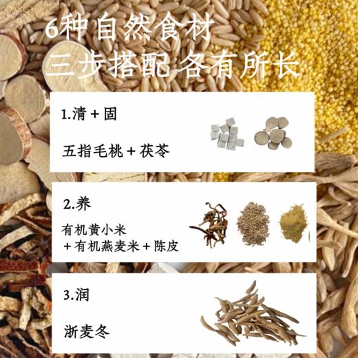 五指毛桃茯苓炒米茶  焦香炒米茶中焦运化 拂去湿腻虚胖 道地食材有机黄小米茯苓陈皮浙麦冬 商品图3