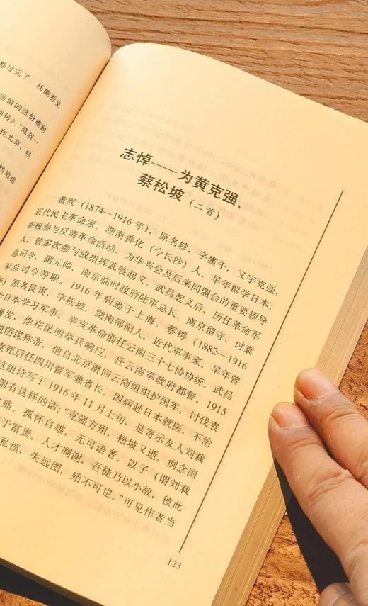 【旧版】岭南文库本：《黄节诗选》，黄节著，刘斯奋注，广东人民出版社1993年版，售价19元。8.5-9品。 商品图8
