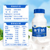 【三枪推荐】夏进｜纯牛奶 195ml*20瓶 商品缩略图2