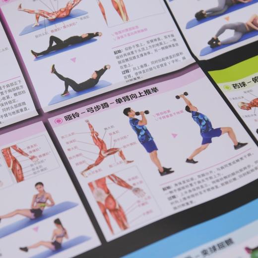 核心力量训练解剖挂图 商品图3
