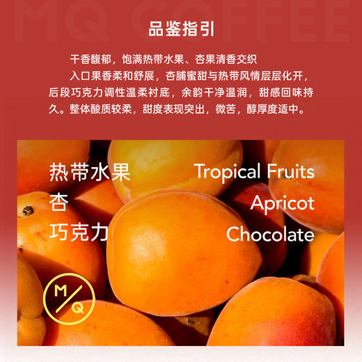 【云南精品系列】明谦醉红珠咖啡豆澜沧意式拿铁咖啡美式黑咖啡 商品图2