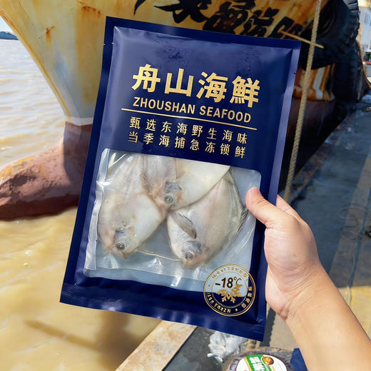 【东海野生捕捞】舟选 舟山银鲳鱼 甄选新鲜银鲳鱼 口感细腻 肥嫩厚实 400g/袋 商品图1