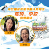 【接力出版社】精选桥梁书 商品缩略图10