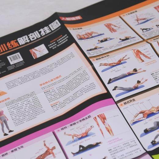 核心力量训练解剖挂图 商品图1