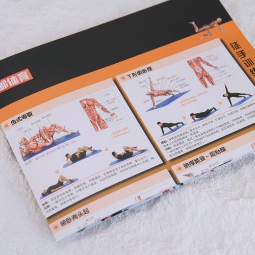 核心力量训练解剖挂图 商品图4