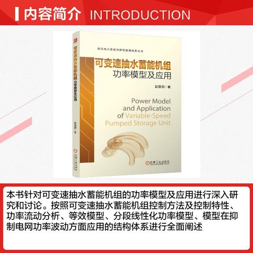 可变速抽水蓄能机组功率模型及应用 商品图1
