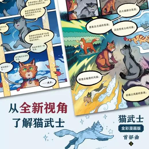 猫武士全彩漫画版 首部曲全3册 适读6-12岁儿童 商品图3