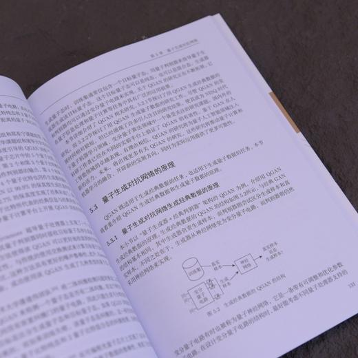 量子人工智能 前沿进展 量子AI 量子人工智能 量子计算 量子机器学习 商品图1