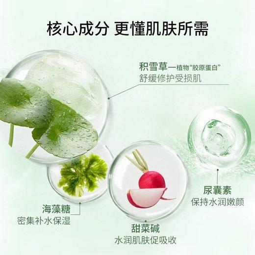 GIK 30ml*30片积雪草润泽贴 商品图3