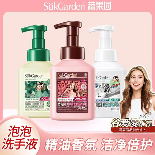 【组合装】蔬果园 抑菌洗手液 三种味道500ml/瓶 各1瓶（茶香泡泡*1+尤加利精油香氛*1+乌木玫瑰*1） 绵密云朵泡沫 商品图0