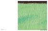 【现货】 Alex Katz: Milestones: At the Heart of Creation / 亚历克斯·卡茨：里程碑——创造的核心 商品缩略图1