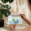 热卖！攻湿+补阳！【一丸一贴，舒坦！】后辰 黑姜大师丸贴 升级黑姜更温阳 攻湿补阳双搭配 15粒+15贴/盒 商品缩略图7