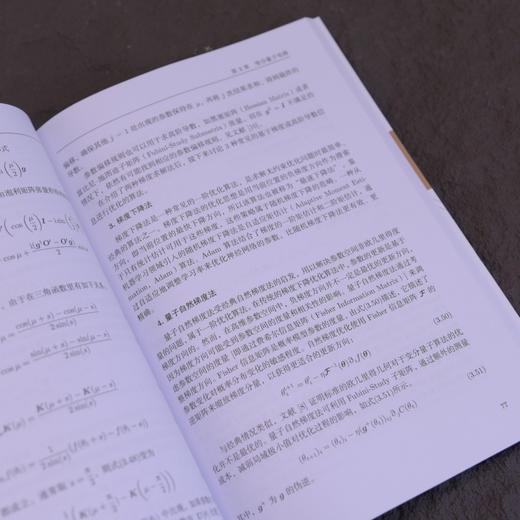 量子人工智能 前沿进展 量子AI 量子人工智能 量子计算 量子机器学习 商品图4
