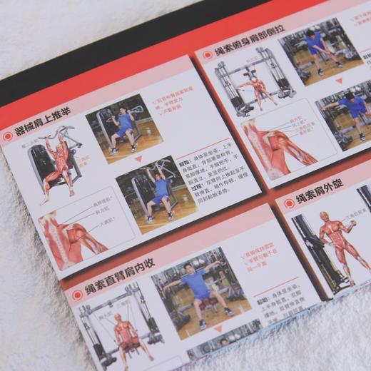 健身房训练解剖挂图 商品图1