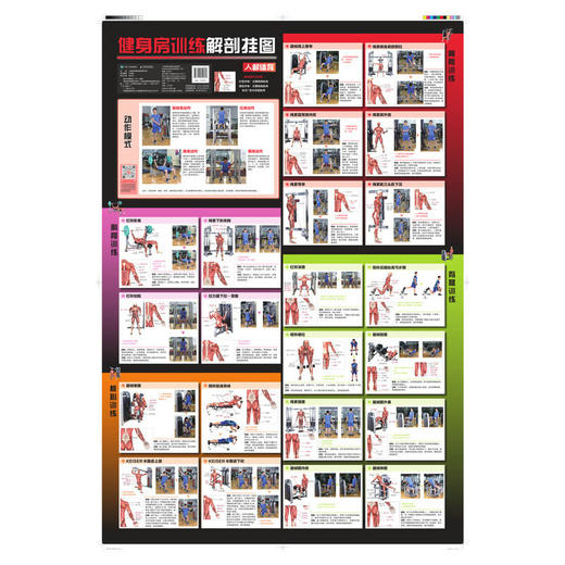 健身房训练解剖挂图 商品图0