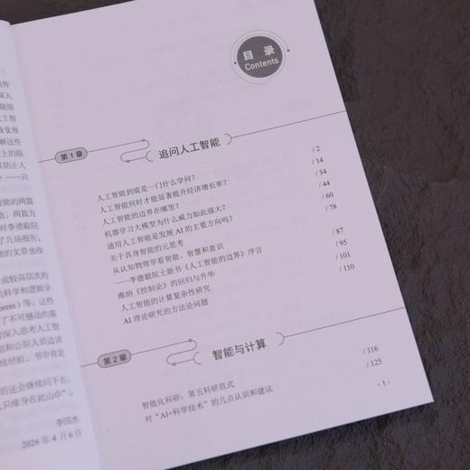 深思人工智能 人工智能教程 AI未来已来 AI治理 AI应用 商品图1