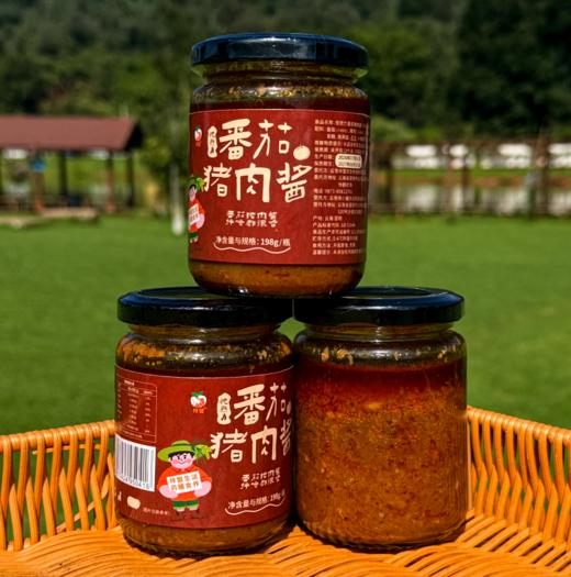 生态番茄猪肉酱 酱香浓郁 口感醇厚 拌面拌饭神器|梓盟 商品图5