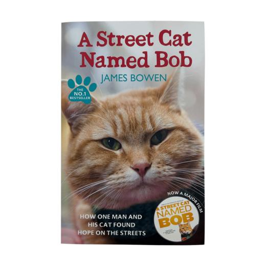 一只名叫鲍勃的街头流浪猫 英文原版小说 A Street Cat Named Bob 流浪猫鲍勃 同名电影小说 遇见一只猫 伦敦街猫记英文版英语书籍 商品图1