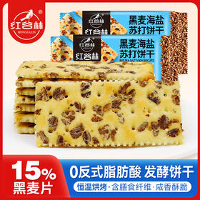红谷林黑麦海盐苏打饼干梳打咸味饼干休闲零食发酵饼乾休闲大礼包