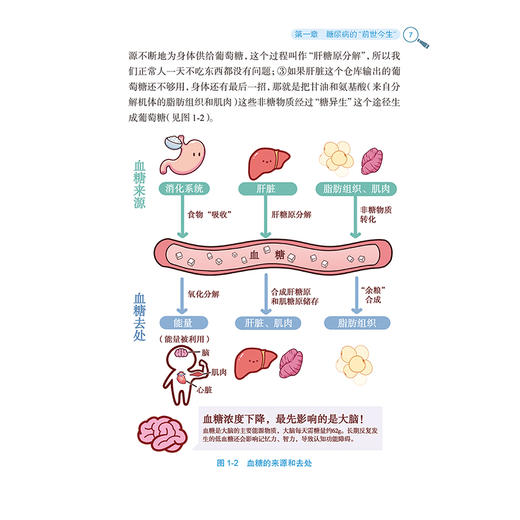 糖尿病与认知健康百问 毕艳 郭立新 从认识糖尿病入手 采用问答形式 深入浅出地科普了糖尿病及其相关认知功能障碍 人民卫生出版社 商品图4