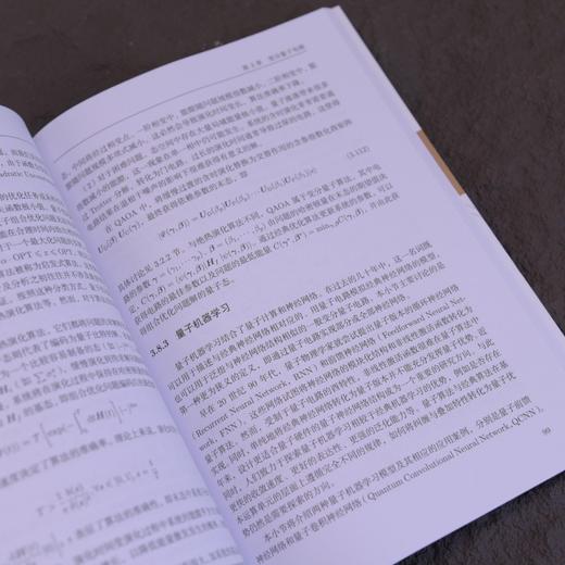量子人工智能 前沿进展 量子AI 量子人工智能 量子计算 量子机器学习 商品图3