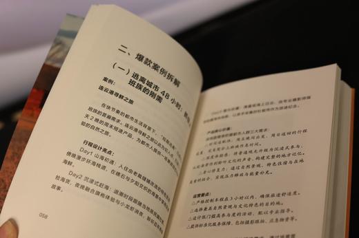 边玩边赚：旅游圈新个体进化论  9787577229096  华中科技出版社 商品图5