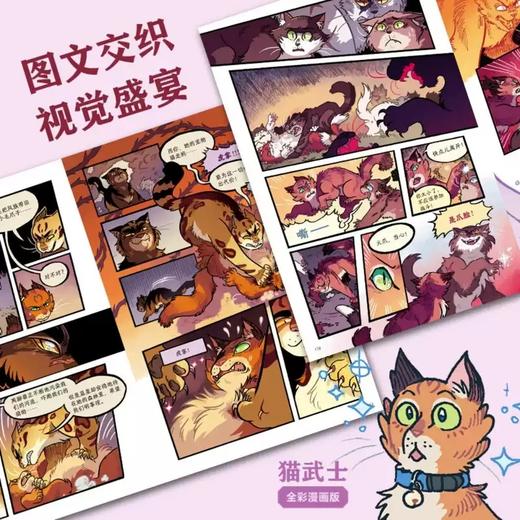 猫武士全彩漫画版 首部曲全3册 适读6-12岁儿童 商品图4