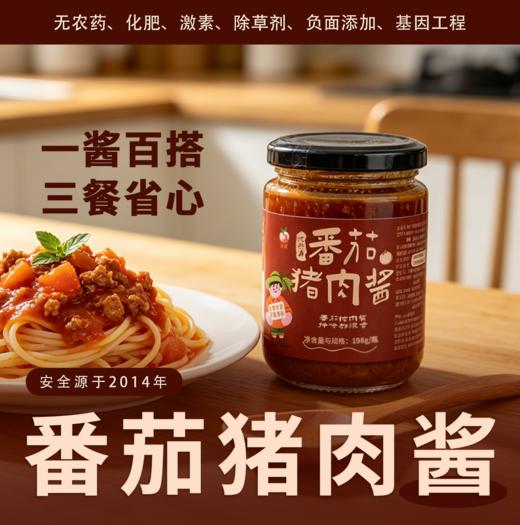 生态番茄猪肉酱 酱香浓郁 口感醇厚 拌面拌饭神器|梓盟 商品图0