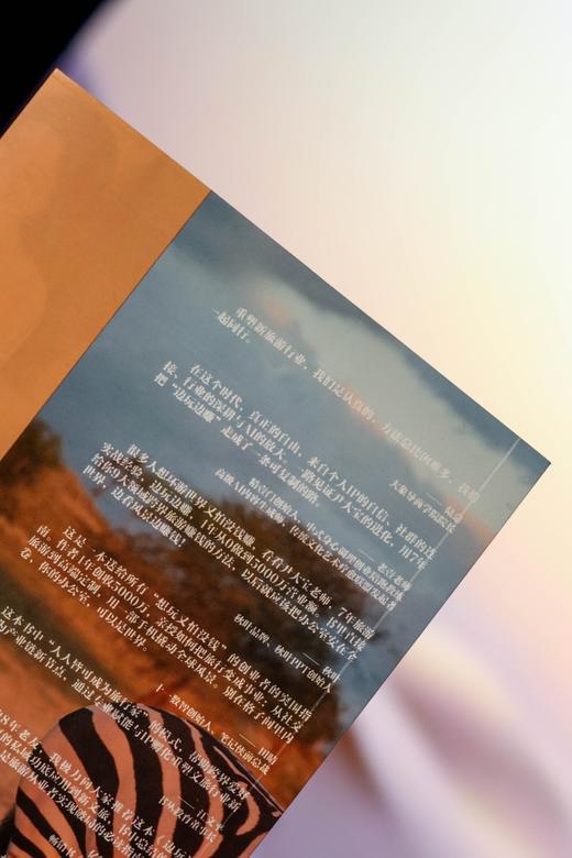 边玩边赚：旅游圈新个体进化论  9787577229096  华中科技出版社 商品图2