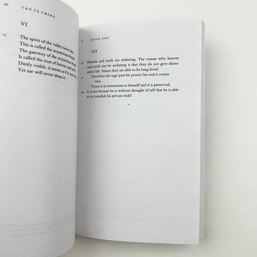 老子道德经 英文原版 Tao Te Ching 中国古代文学名著 道家哲学思想 英文版进口英语文学书籍 商品图2