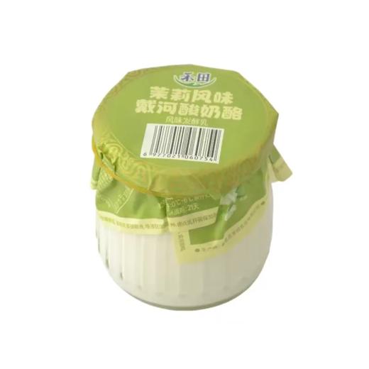 禾田140g茉莉风味戴河酸奶酪酸奶 商品图0