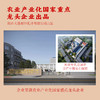 黄金搭档红参茯苓奶粉 0蔗糖 高蛋白 气血双补 两罐礼盒装 商品缩略图4