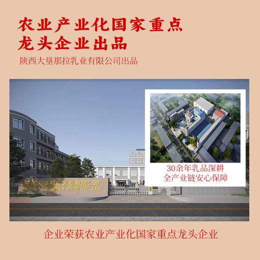 黄金搭档红参茯苓奶粉 0蔗糖 高蛋白 气血双补 两罐礼盒装 商品图4