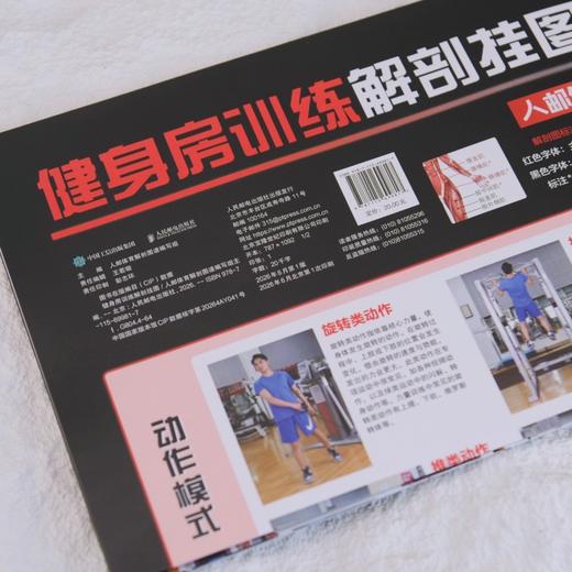 健身房训练解剖挂图 商品图2