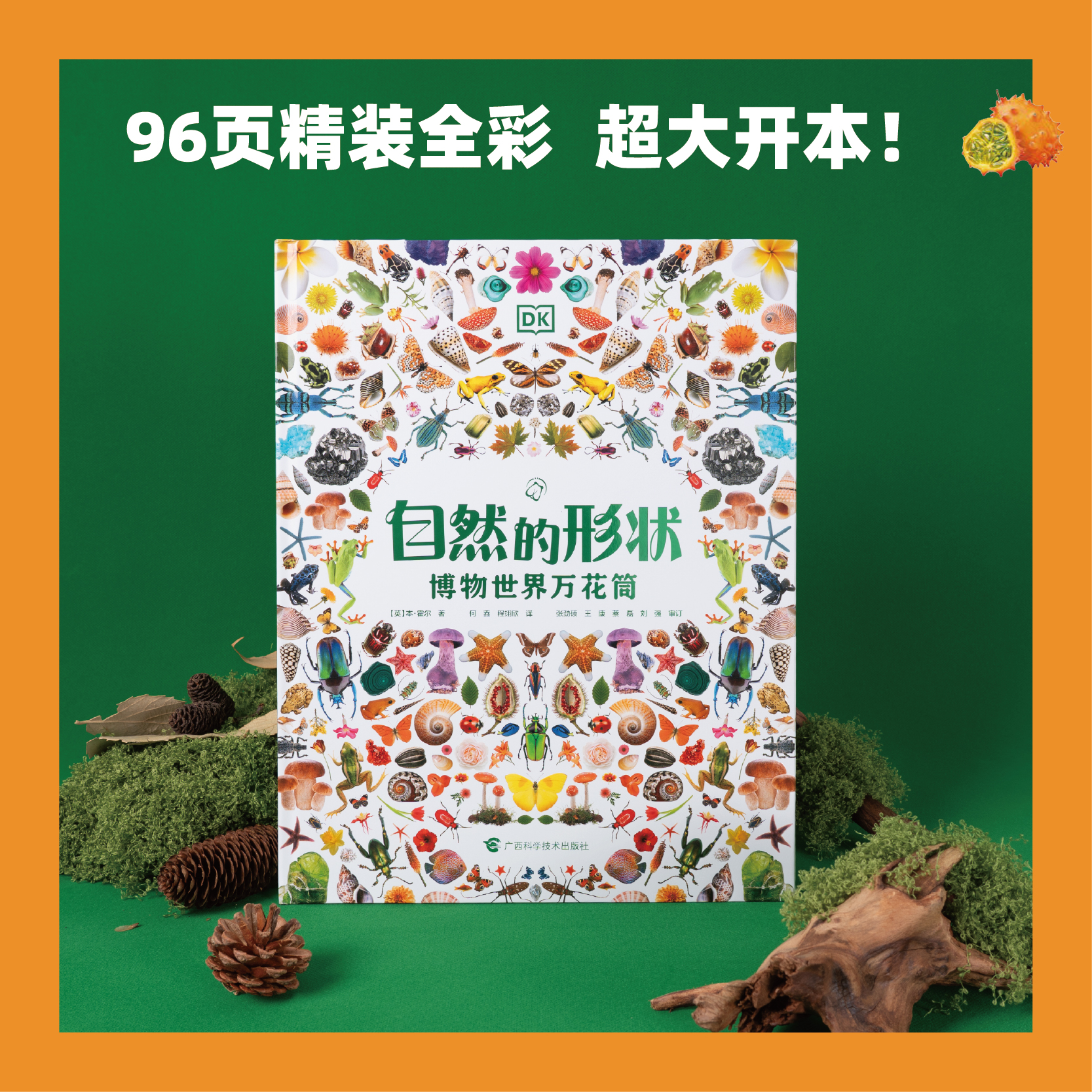 自然的形状 DK全新科普典藏百科精装全彩