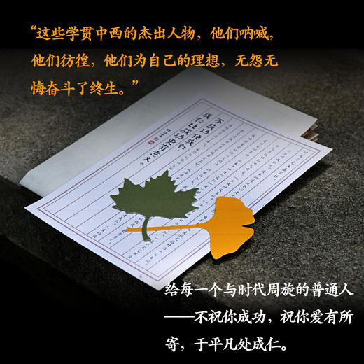 一叶知百年·叶兆言经典 商品图4