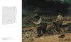 【现货】 Gustave Courbet (Folkwang Museum  Essen / Leopold Museum  Vienna) / 古斯塔夫·库尔贝（埃森福尔克旺博物馆 / 维也纳利奥波 商品缩略图3