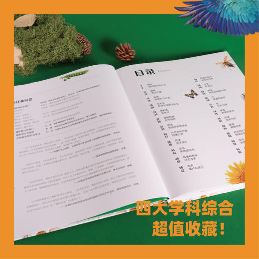 自然的形状 DK全新科普典藏百科精装全彩 商品图1