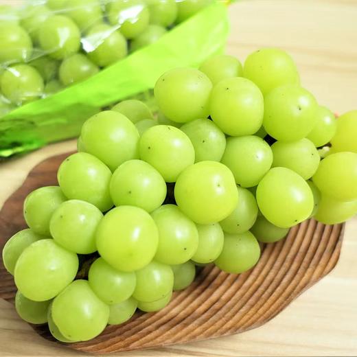 顺丰空运【云南大理宾川🍇双拼/三拼】特级妮娜皇后&阳光玫瑰&蓝宝石葡萄 商品图4