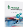 中国电动自行车发展概况与管理实践 商品缩略图2
