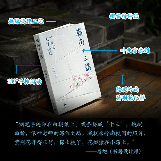 岭南十三讲：叶兆言文学讲稿 商品图4