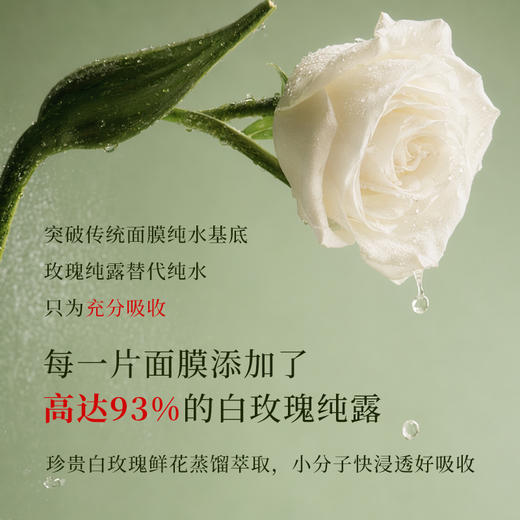 ✨植想说纯素白玫瑰密集补水面膜烟酰胺保湿亮白面膜 商品图1