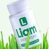 【日本原装进口】 Liam 麦绿素  每粒富含600uSOD 16.8g/瓶 商品缩略图2