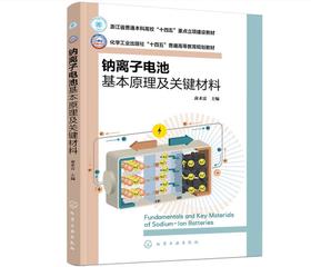 钠离子电池基本原理及关键材料（侴术雷）